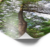 Bomen naar de hemel foto afdruk (Hoek)