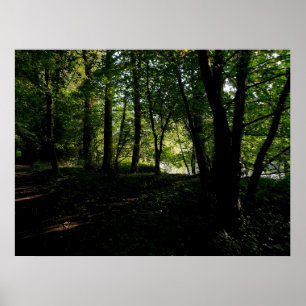 Bomen nabij de rivier poster