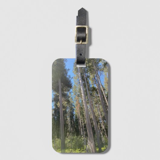 Bomen Natuur Bossen Bagagelabel (Voorkant (verticaal))