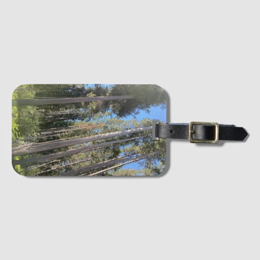 Bomen Natuur Bossen Bagagelabel (Voorkant (horizontaal))