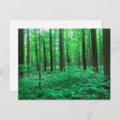 Bomen! Notitiekaartje Kaart (Voorkant / Achterkant)