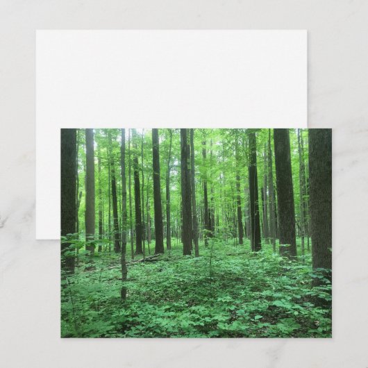 Bomen! Notitiekaartje Kaart (Voorkant / Achterkant)