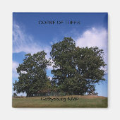 BOMEN OMDOPEN MAGNEET (Voorkant)