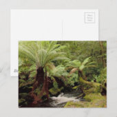 Bomen omgeving Tasmanië Australië Fotografie Briefkaart (Voorkant / Achterkant)