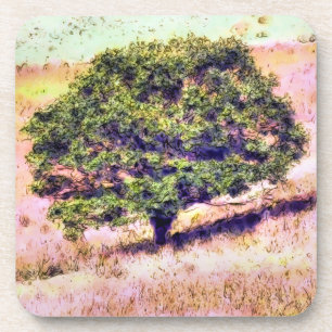 BOMEN ONDERZETTER