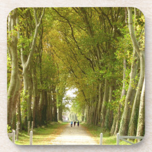 Bomen-Onderzetters Bier Onderzetter