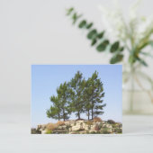 Bomen op boven briefkaart (Staand voorkant)