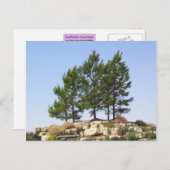 Bomen op boven briefkaart (Voorkant / Achterkant)