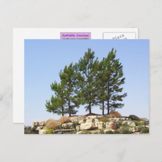 Bomen op boven briefkaart (Voorkant / Achterkant)