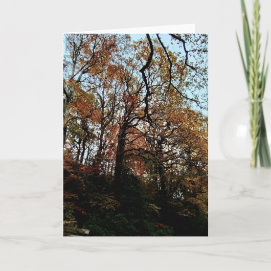 Bomen, op de bank kaart (Voorkant)