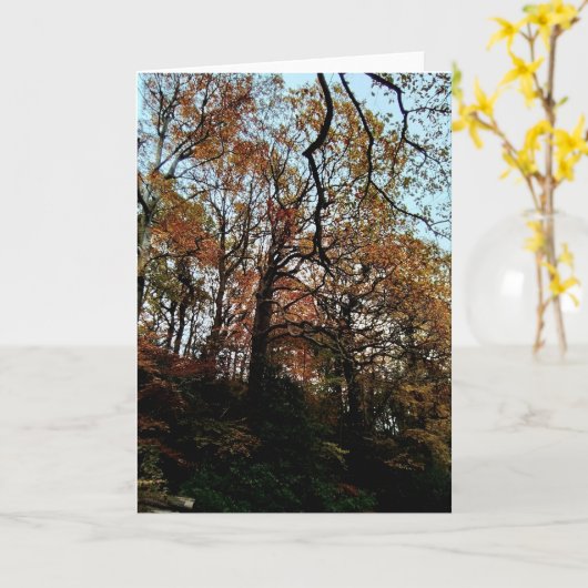 Bomen, op de bank kaart (Gele Bloem)