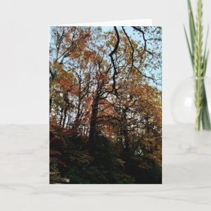 Bomen, op de bank kaart