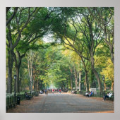 Bomen op de Mall Poster (Voorkant)