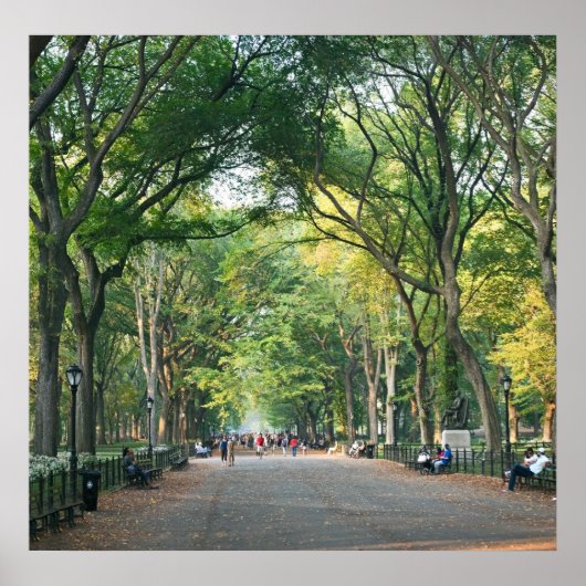 Bomen op de Mall Poster (Voorkant)