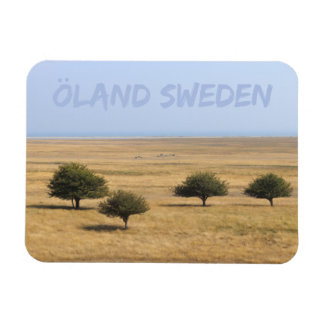 Bomen op de Savannah, Öland, Zweden Magneet