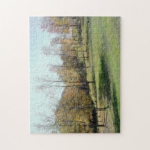 Bomen op het kalmeren van de helling-puzzel