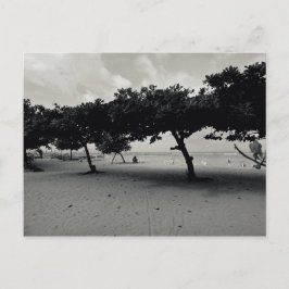 Bomen op het strand van Sanur op Bali Briefkaart