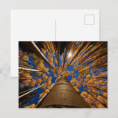 Bomen op het vliegveld, Arizona (San Francisco Pea Briefkaart (Voorkant / Achterkant)