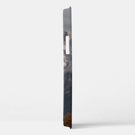 BOMEN OP MOUNTAINEN ONDER GRAY SKY Case-Mate iPhone CASE (Achterkant / Rechts)