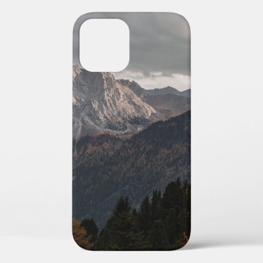 BOMEN OP MOUNTAINEN ONDER GRAY SKY Case-Mate iPhone CASE (Achterkant)