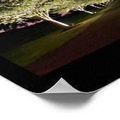 Bomen op Night Photo Poster (Hoek)