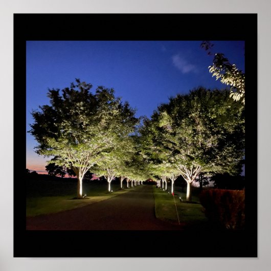 Bomen op Night Photo Poster (Voorkant)