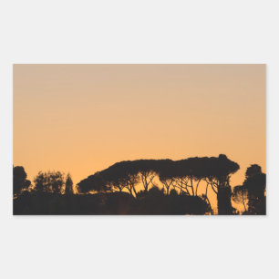 Bomen op zonsondergang in Rome Rechthoekige Sticker