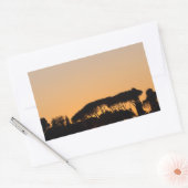Bomen op zonsondergang in Rome Rechthoekige Sticker (Envelop)