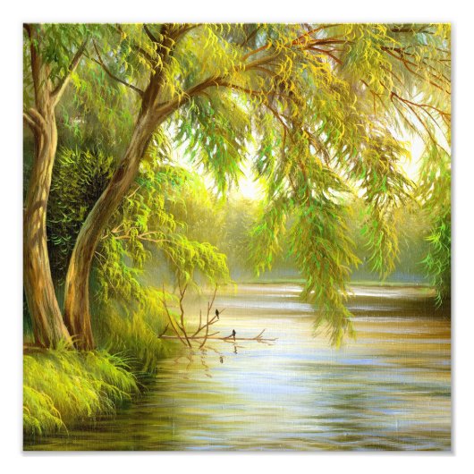 Bomen over water foto afdruk (Voorkant)
