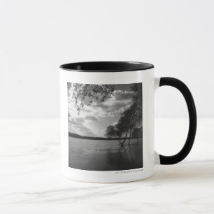 Bomen per meer B&W Mok
