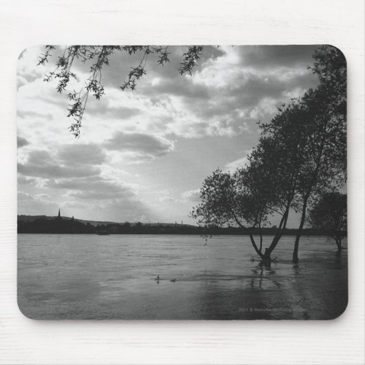 Bomen per meer B&W Muismat (Voorkant)