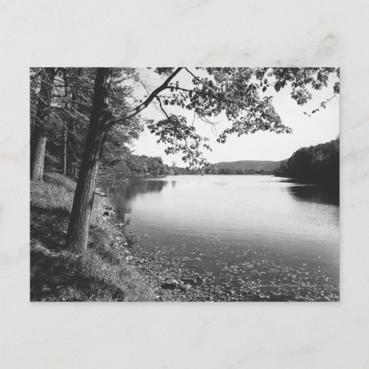 Bomen per rivier B&W Briefkaart (Voorkant)