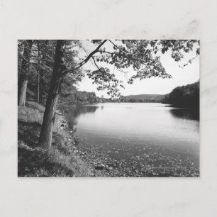 Bomen per rivier B&W Briefkaart