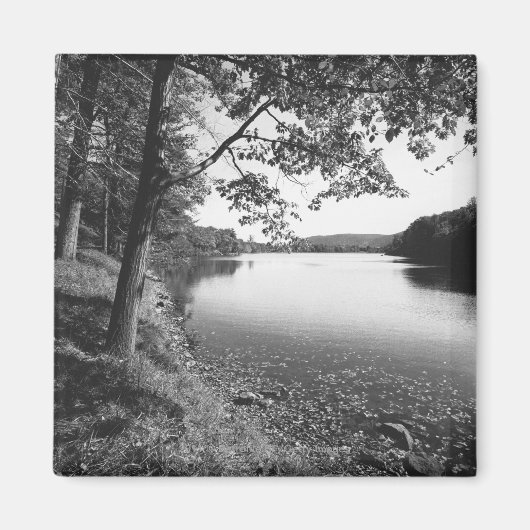 Bomen per rivier B&W Magneet (Voorkant)