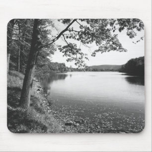 Bomen per rivier B&W Muismat
