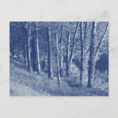 Bomen per rivier - Cyanotype-effect Briefkaart (Voorkant)