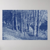Bomen per rivier - Cyanotype-effect Poster (Voorkant)