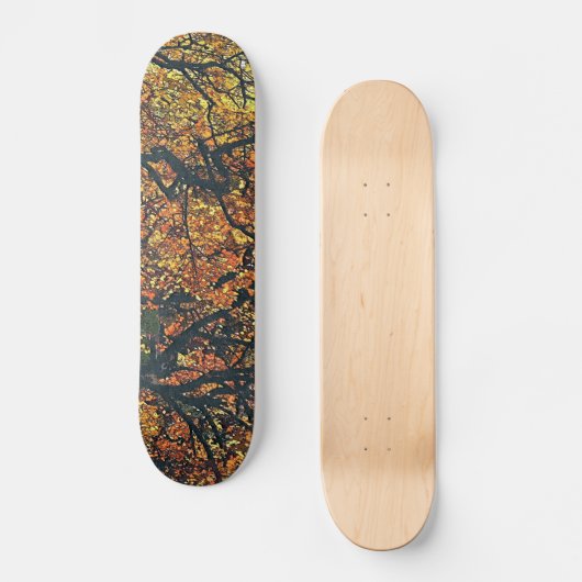 BOMEN PERSOONLIJK SKATEBOARD (Voorkant)