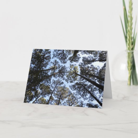 Bomen perspectief verjaardagskaart (h) kaart (Voorkant)