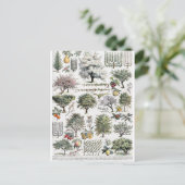 Bomen Planten Vruchten Vintage Botanisch Briefkaar Briefkaart (Staand voorkant)