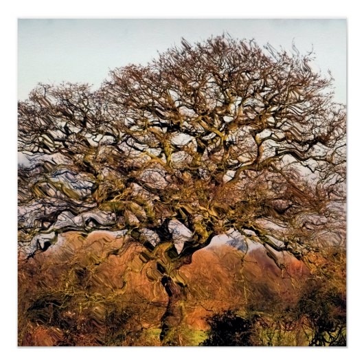 BOMEN POSTER (Voorkant)