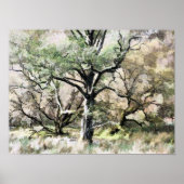 BOMEN POSTER (Voorkant)