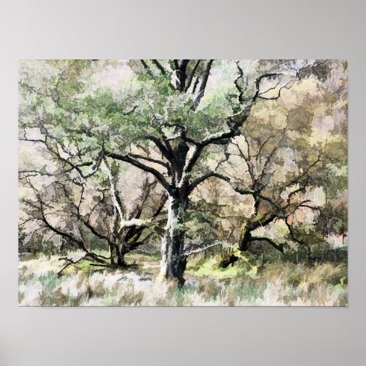 BOMEN POSTER (Voorkant)