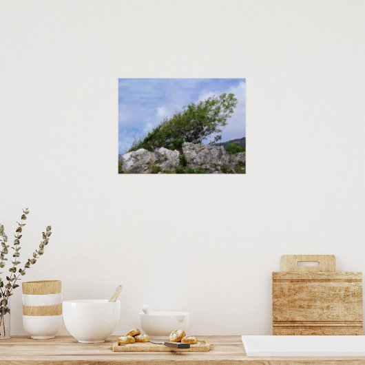 BOMEN POSTER (Keuken)