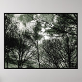 Bomen | POSTER (Voorkant)