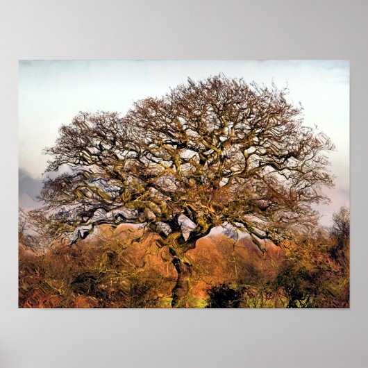 BOMEN POSTER (Voorkant)