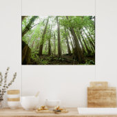 bomen poster (Keuken)