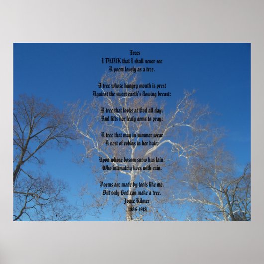 Bomen Poster (Voorkant)