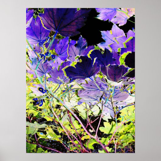 BOMEN POSTER (Voorkant)