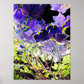 BOMEN POSTER (Voorkant)